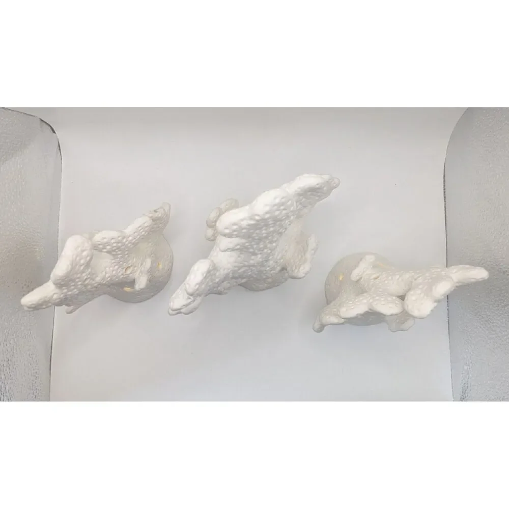 Valerie Parr Hill 3pc Illuminated Porcelain Coral Set White Coastal Decor NOB